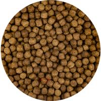 Vivani Top Growth Koivoer 6mm - Compleet Koi Voer met Pre-/Probiotica, 5L Emmer