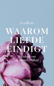 Waarom liefde eindigt - Eva Illouz - ebook