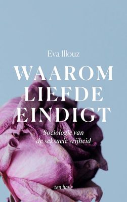 Waarom liefde eindigt - Eva Illouz - ebook