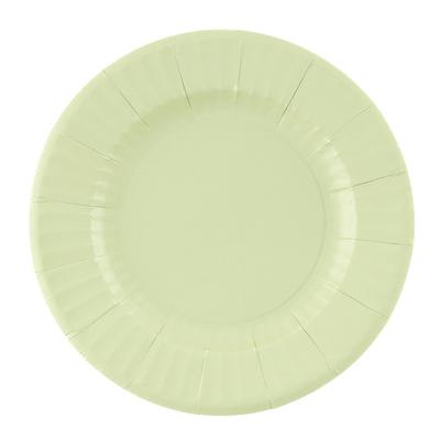 Feestbordjes/gebaksbordjes - 8x - mintgroen - rond - papier/karton - 21cm