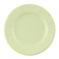 Feestbordjes/gebaksbordjes - 8x - mintgroen - rond - papier/karton - 21cm
