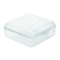 Rotho Fun Lunchbox Vierkant 2.35L Transparant