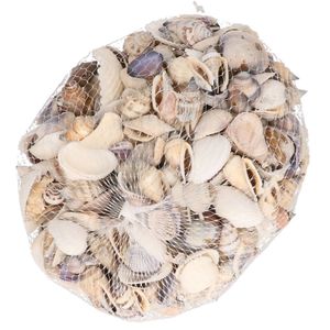 Hobbymateriaal kleine schelpen 400 gram