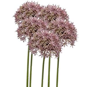 Allium/Sierui kunstbloem - 5x - losse steel - lila - 62 cm - Natuurlijke uitstraling