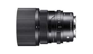 Sigma 65mm F2 DG DN MILC Standaardlens Zwart