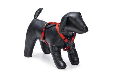 Beeztees Beeztees Parinca Premium Y-Tuig Rood 37-40x15