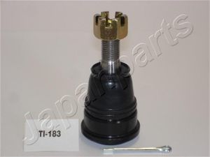 Fuseekogel TI183