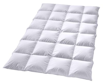 Dik Hollands Donzen 4-seizoenen Dekbed -1-persoons (140x220 cm)