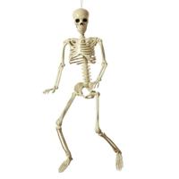 Halloween Decoraties Skelet 82 cm Halloween Decoraties Skelet 82 cm