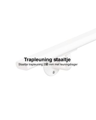 Staaltje trapleuning ovaal wit