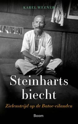 Steinharts biecht (Paperback)