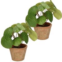 2x stuks Kunstplanten Pannekoekplant pilea groen in pot 25 cm - thumbnail