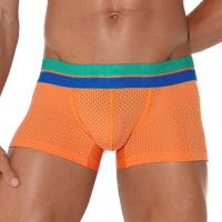 Code 22 Bright Mesh Trunk - thumbnail