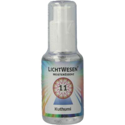 Lichtwesen Kuthumi tinctuur 11