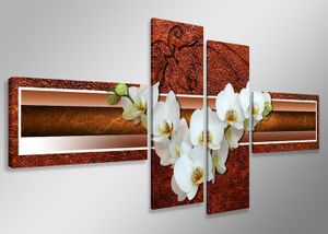 Schilderij - Witte Orchidee, Bruin, 160X70cm, 4luik