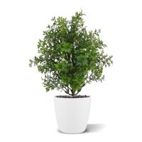 Eucalyptus kunstplant 30cm - UV bestendig
