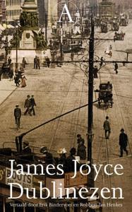 Dublinezen (Paperback)