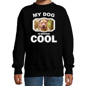 Staffordshire bull terrier honden trui / sweater my dog is serious cool zwart voor kinderen