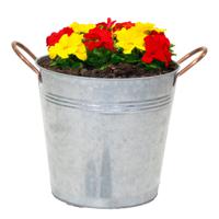 Plantenpot/bloempot emmer Jean - zink - zilver - D14 X H13 cm