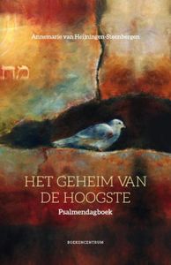 Het geheim van de Hoogste - Annemarie van Heijningen-Steenbergen - ebook