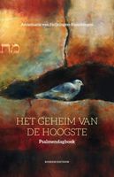 Het geheim van de Hoogste - Annemarie van Heijningen-Steenbergen - ebook - thumbnail