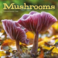 Paddenstoelen Kalender 2026