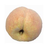Kunstfruit perziken van 8 cm   -