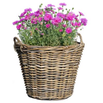 Mega Collections Planten of bloemen mand - D42 x H31 cm - rond - rotan gevlochten - bloempot