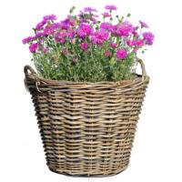 Mega Collections Planten of bloemen mand - D42 x H31 cm - rond - rotan gevlochten - bloempot