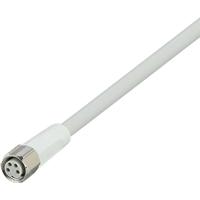ifm Electronic EVF646 Aansluitkabel Aantal polen (sensoren): 4 Bus, recht 20 m 1 stuk(s)