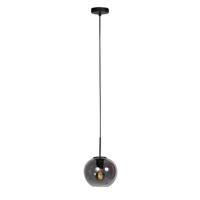 Steinhauer HanglampHaloSwap met 1 bol smoke glas Ø 20cm - 4292ZW