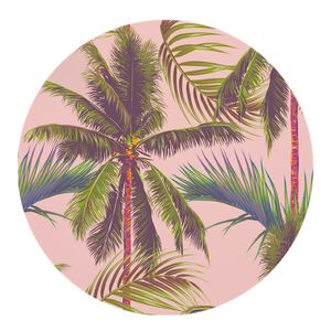 Muurcirkel Palm Pink Aluminium 80 Ophangsysteem