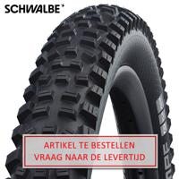 Schwalbe Buitenband 24-2.35 (60-507) hans dampf perfomance zw vw
