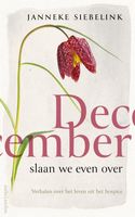 December slaan we even over - Janneke Siebelink - ebook