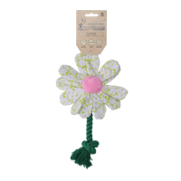 Garden Paws Flower Spring Sakura S