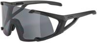 Alpina hawkeye s - sports glasses