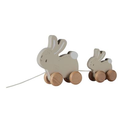 Little Dutch Baby Bunny konijntjes trekdieren