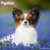 Papillon Kalender 2026