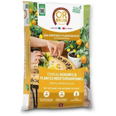 Citrus & Mediterrane Planten Grond - BRUIN GOUD - OBRTAGR6U - 6L - Olijfbomen Palmbomen & Cycas