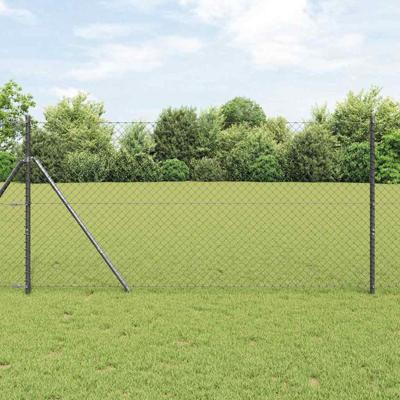 Gaashekwerk Grijs 10 x 1.4 m Staal