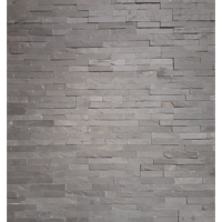 Wandtegel Steenstrips Louisiana 10x35 - Leisteen