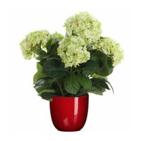 Hortensia kunstplant/kunstbloemen 45 cm - groen - in pot rood glans - Kunstplanten - thumbnail