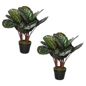 2x stuks kunst Calathea 47 cm