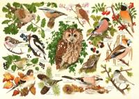 Woodland Birds Puzzel 500 XL stukjes
