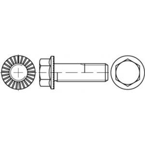 TOOLCRAFT TO-5444460 Zeskantbout M5 16 mm Buitenzeskant 88913 500 stuk(s)