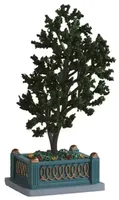 Village Tree