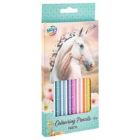 Horses Kleurpotloden pastel set a 12