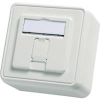 Telegärtner 100021381 Netwerkdoos Opbouw (op muur) Zonder connectoren 1 poort Alpine-wit