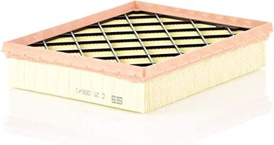 Luchtfilter C250081