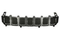 Radiateurgrille 6502073217990P